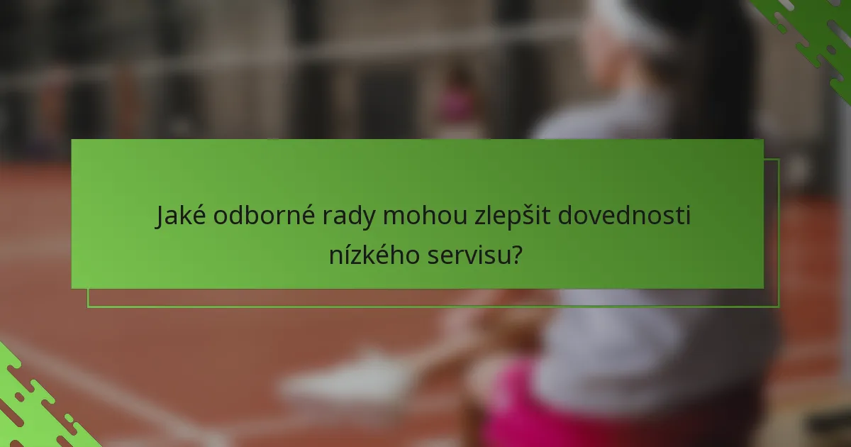 Jaké odborné rady mohou zlepšit dovednosti nízkého servisu?